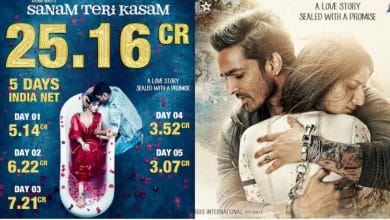 Sanam Teri Kasam's Re-release Creates Box Office History